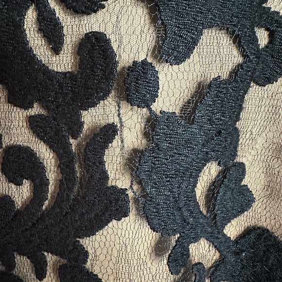 Tadashi Shoji A-line nude and black lace cocktail dress. 14 - Picture 3 of 5